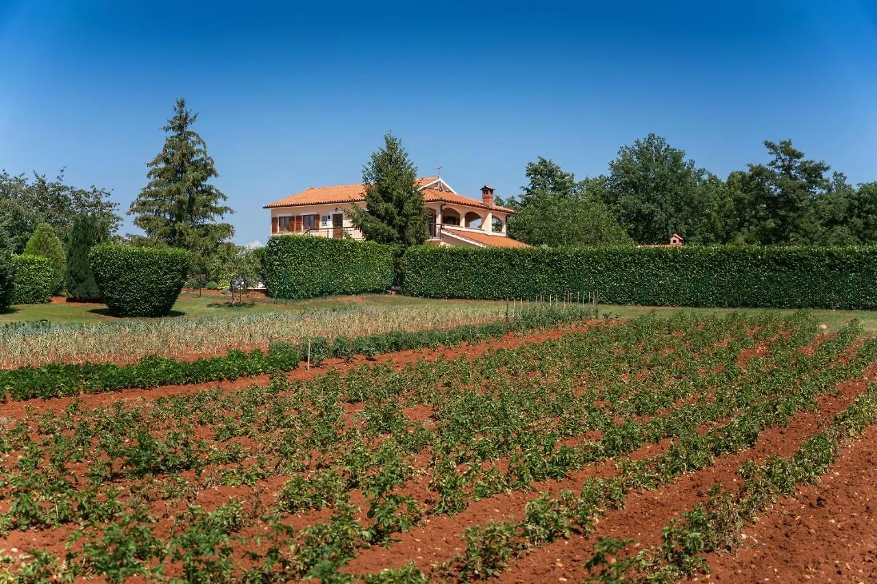 Villa Vranići 0*,